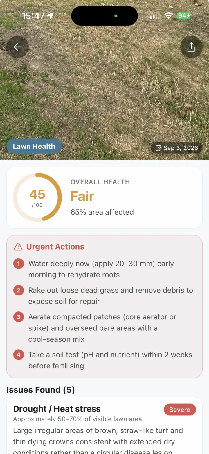Lawn Scan lawn-health result showing a 45 out of 100 score and urgent recovery actions
